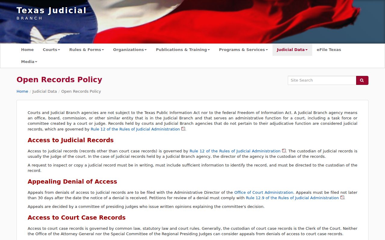 Burnet County arrest warrant records and the Texas Judicial Branch public access policy